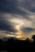 15th Aug 2016 - Sundog