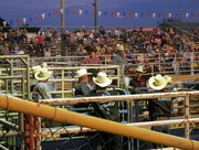 17th Aug 2016 - Cowboys at the Rodeo