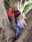 19th Aug 2016 - Boys in a tree