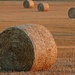 Round Hay Bales by shepherdmanswife