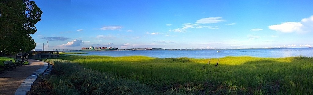 Waterfront Park and Charleston Harbor, Charleston, SC by congaree