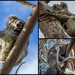 Sleeping Koalas by gosia