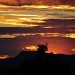 Sunset in Tuscon by dora