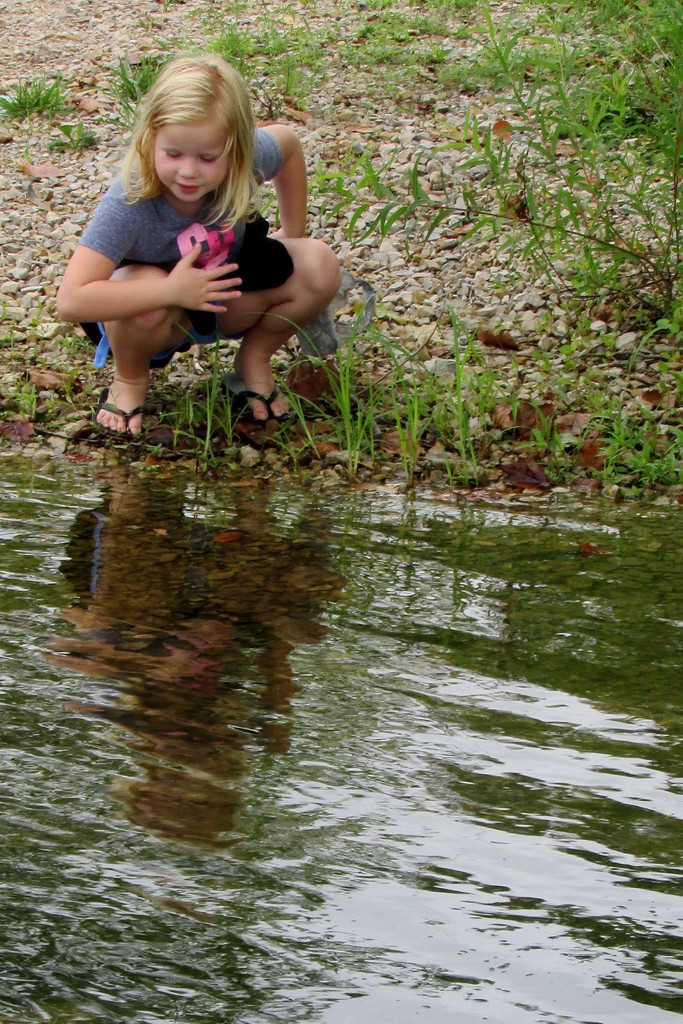 Looking for fish by tunia