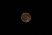 18th Aug 2016 - Early Evening Full Moon 