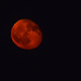Red Moon by marylandgirl58