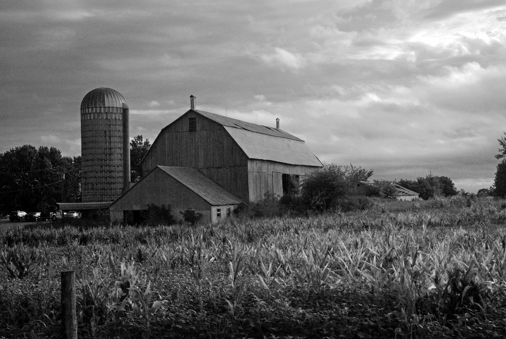 Barn in Black and White by farmreporter