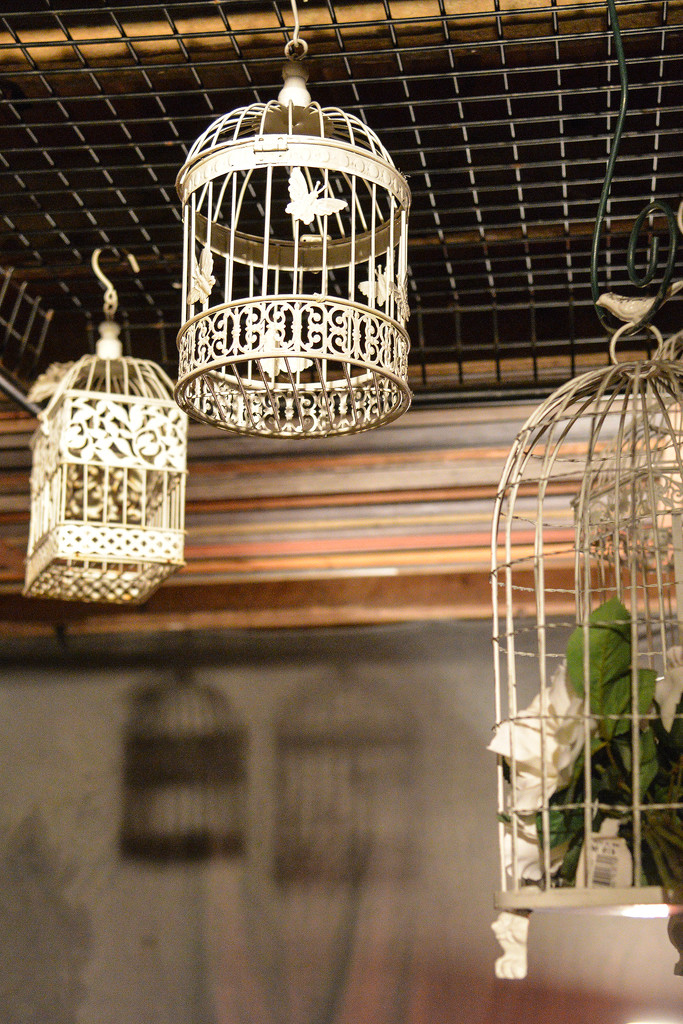 Birdcages and shadows by jeneurell