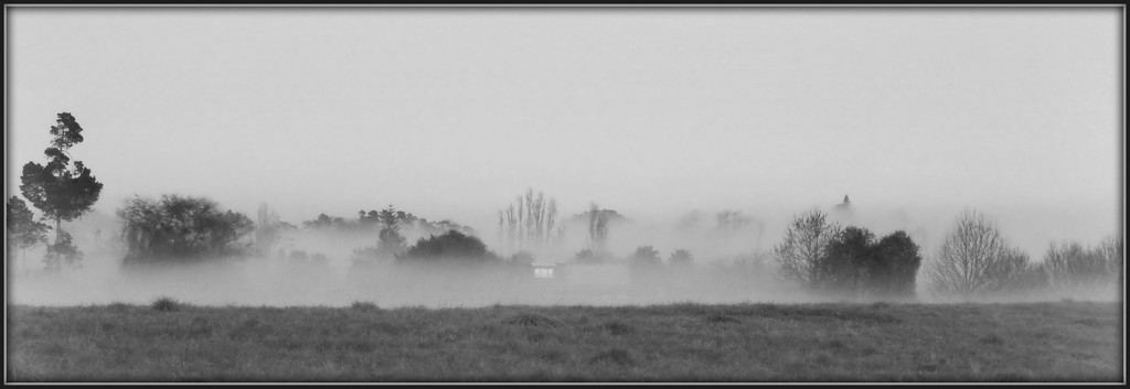 Misty Morning by nickspicsnz