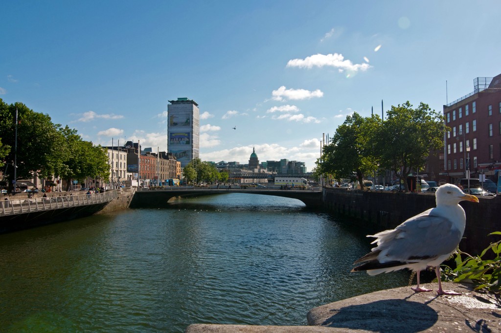 The River Liffey by dianen
