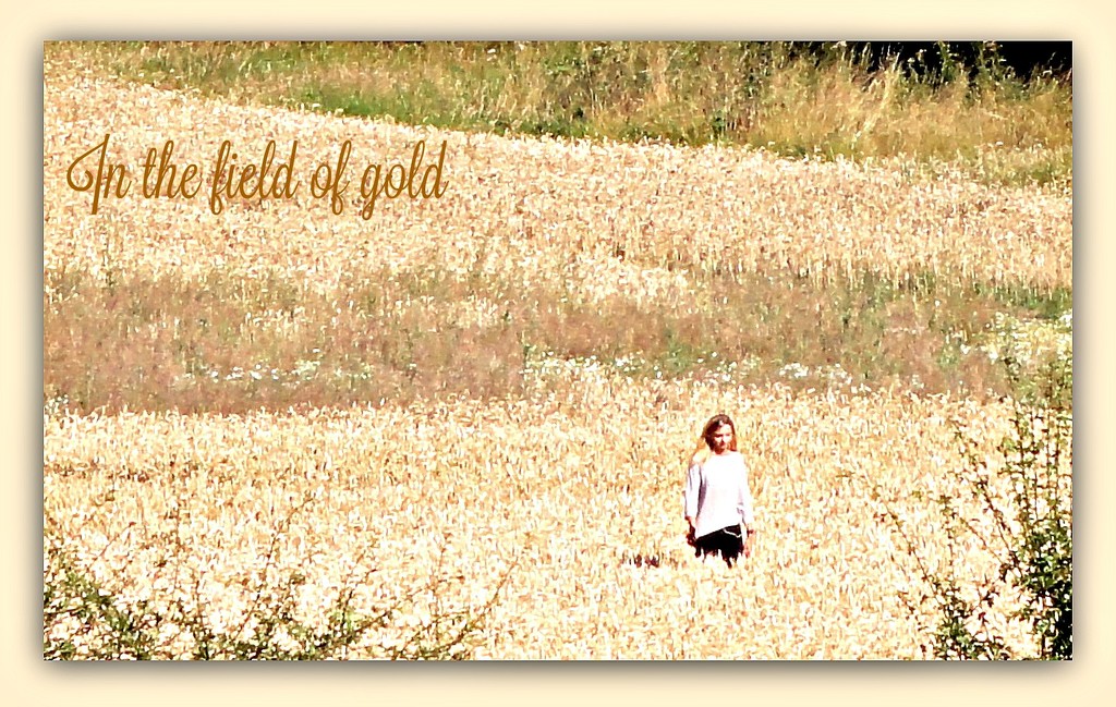 In the field of gold  by beryl