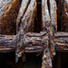 Rust is Winning by fotoblah
