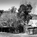 Berrima cottages by pusspup