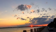 23rd Aug 2016 - Sunset, The Battery at Charleston Harbor, Charleston, SC
