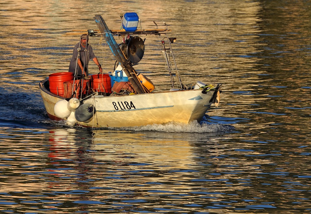 Fisherman at work by spectrum