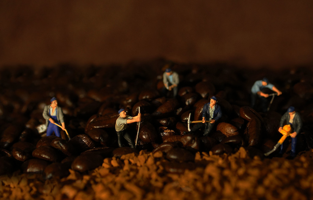 Coffee Grinders by jesperani