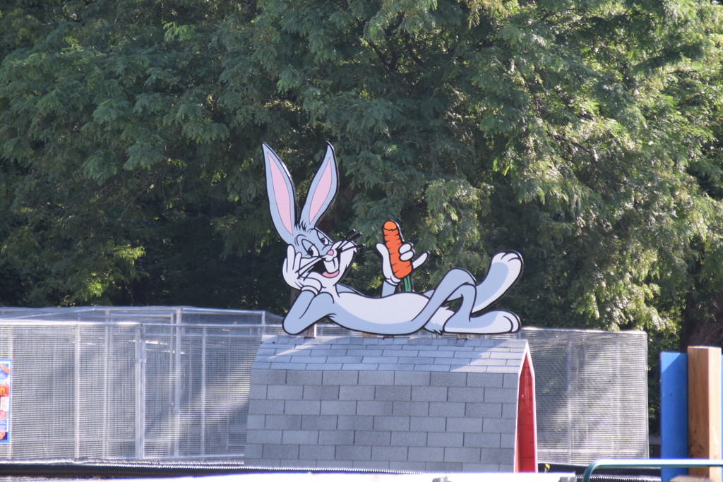 Ehh  Whats Up Doc by bruni