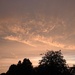 The sky this evening by roachling