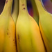Bananas  by epcello