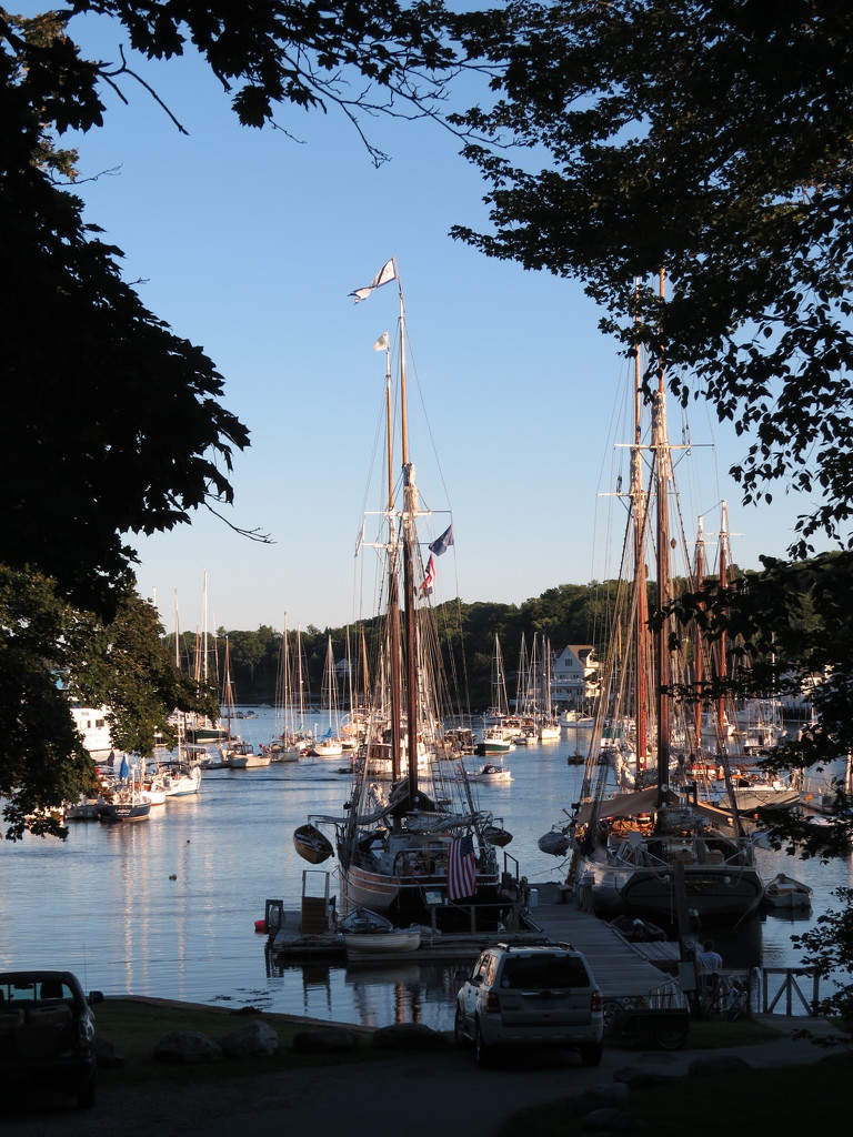 Harbor at Camden, Maine by rob257