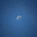 Still a moon at almost noon by nanderson