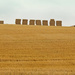 harvest by ianmetcalfe