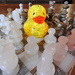 Ducky finds chess a little overwhelming! by homeschoolmom