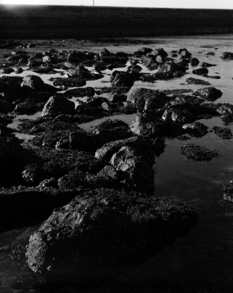 Low tide along the sea wall by peterdegraaff