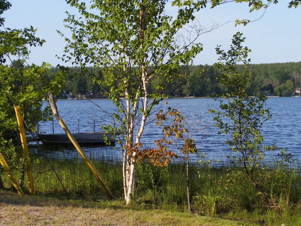 Farlain Lake by selkie