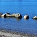 Quiet rocks and water by deborahsimmerman