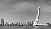 27th Aug 2016 - Erasmus Bridge