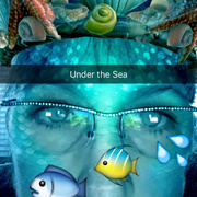27th Aug 2016 - Under The Sea