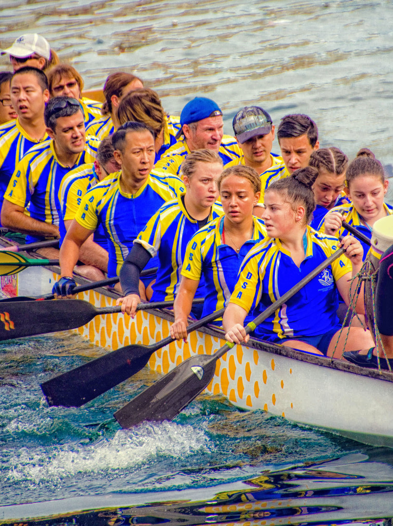 Dragon Boats - paddling by annied