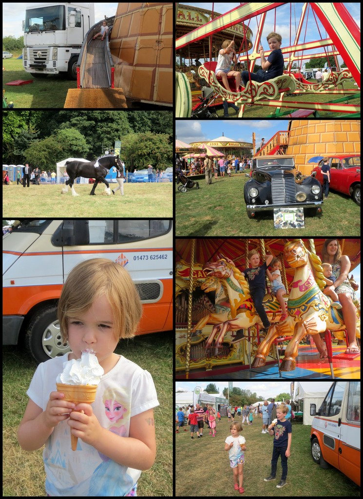 At the Fenland Country Fair by foxes37