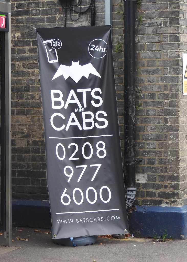 Small Cabs for Bats? by oldjosh