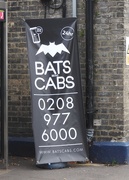 25th Aug 2016 - Small Cabs for Bats?