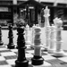 Chess, anyone? by lynne5477