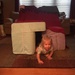 Daddy built a fort by mdoelger