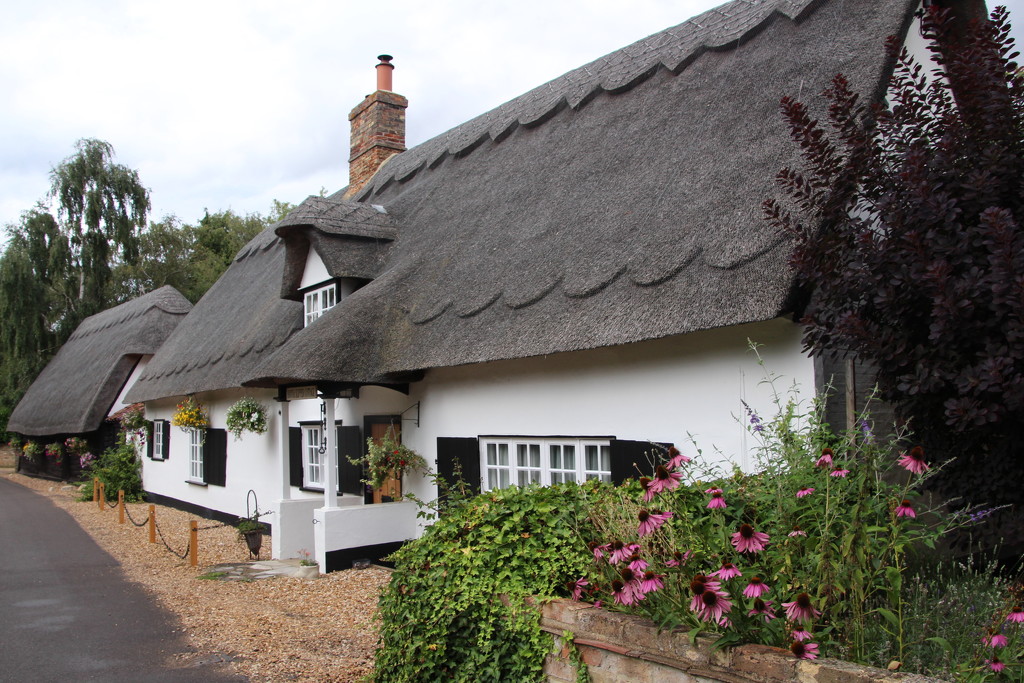 Thatched cottage by busylady