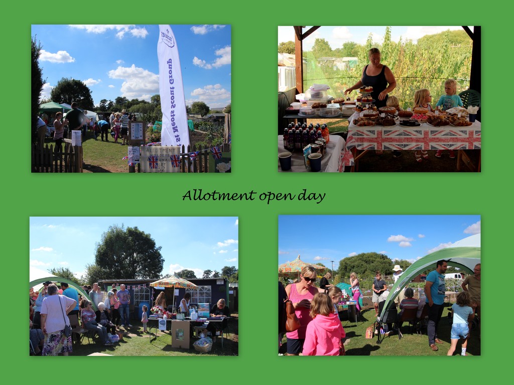 Allotment open day by busylady