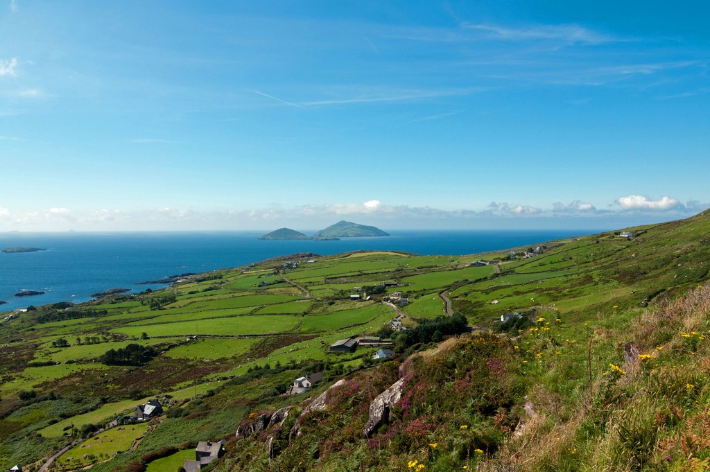 Irish Countryside by dianen