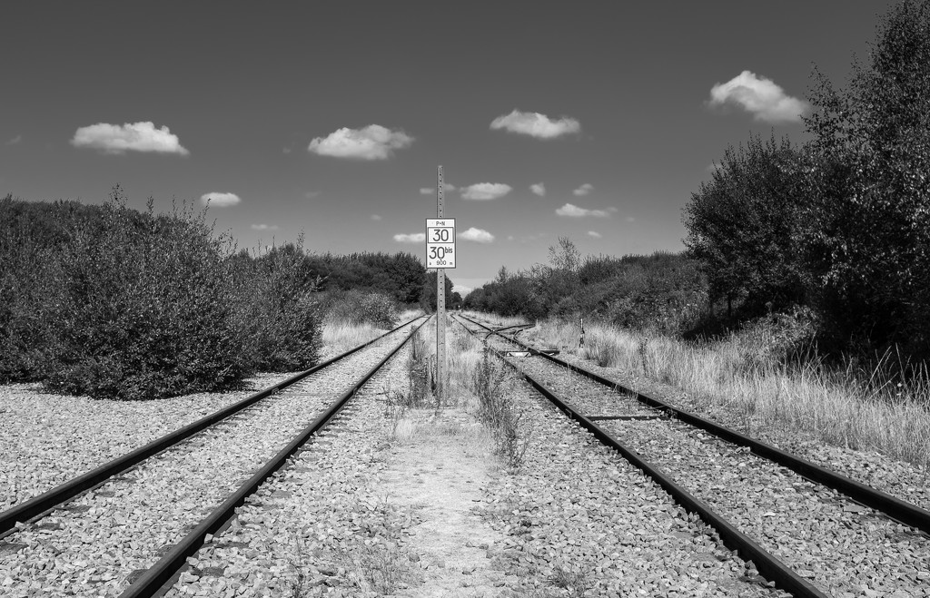 Desert(ed) Railway Lines by vignouse