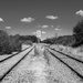 Desert(ed) Railway Lines by vignouse
