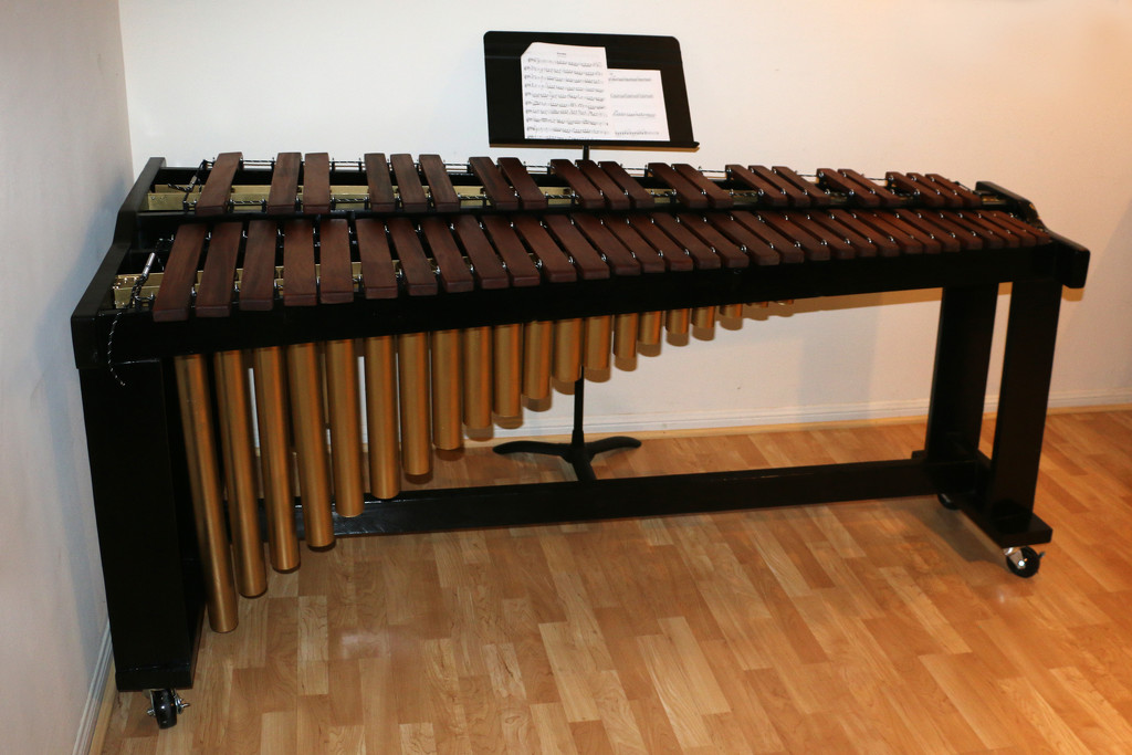 THE Marimba! by ingrid01