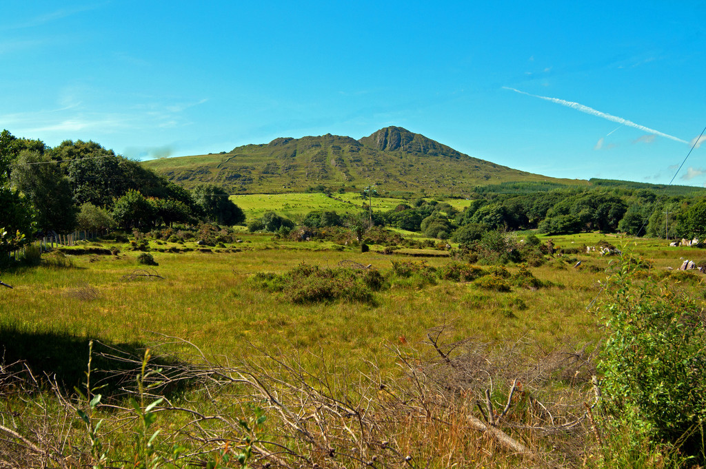 Ring of Kerry Landscape by dianen
