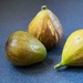 Figs by randystreat