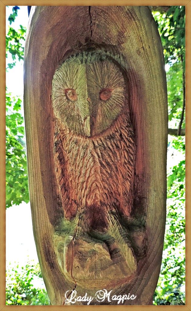 A Hoot of a Gatepost by ladymagpie
