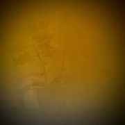1st Sep 2016 - Shadows on the living room wall