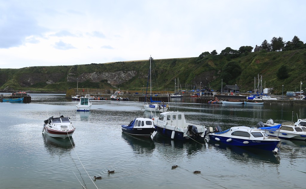 Stonehaven Harbour by lifeat60degrees