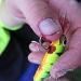 OUCH!!! Lure through the thumb by loey5150